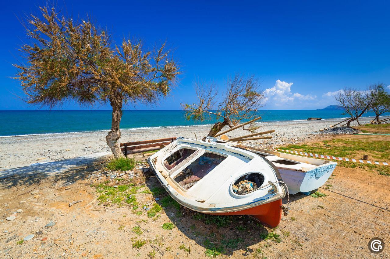 מאלמה Oliva Beach מראה חיצוני תמונה